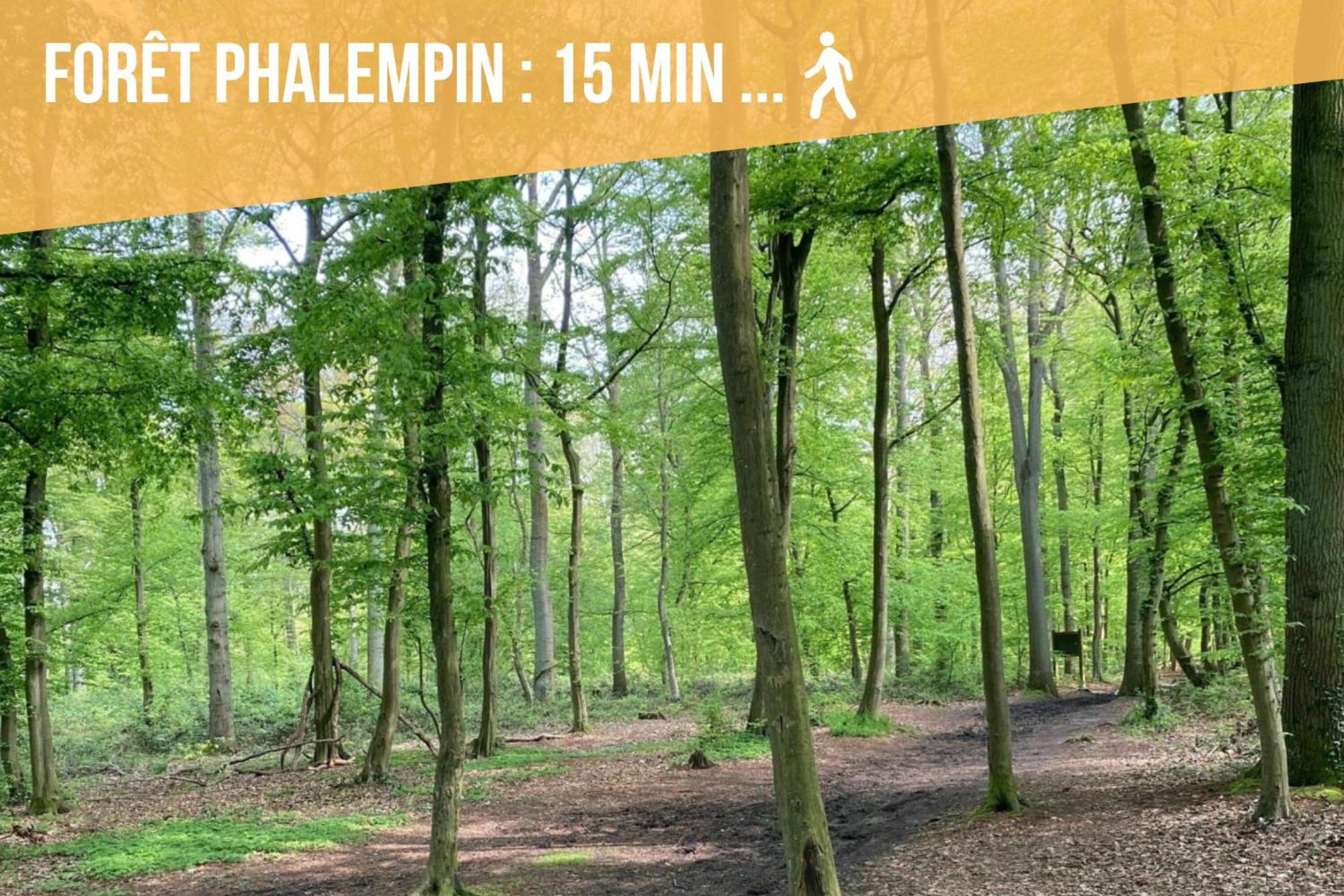 Gite Le Duplex - 5Min De La Gare Vers Lille-Lens-Arras Phalempin Zewnętrze zdjęcie